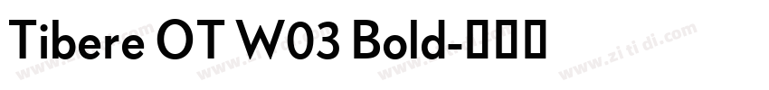 Tibere OT W03 Bold字体转换